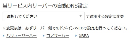 当サービス内サーバーの自動DNS設定